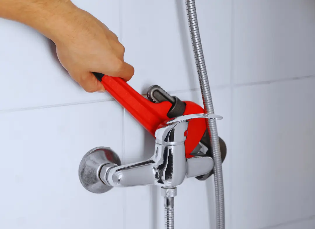 Mitigeur Thermostatique douche Savonnières