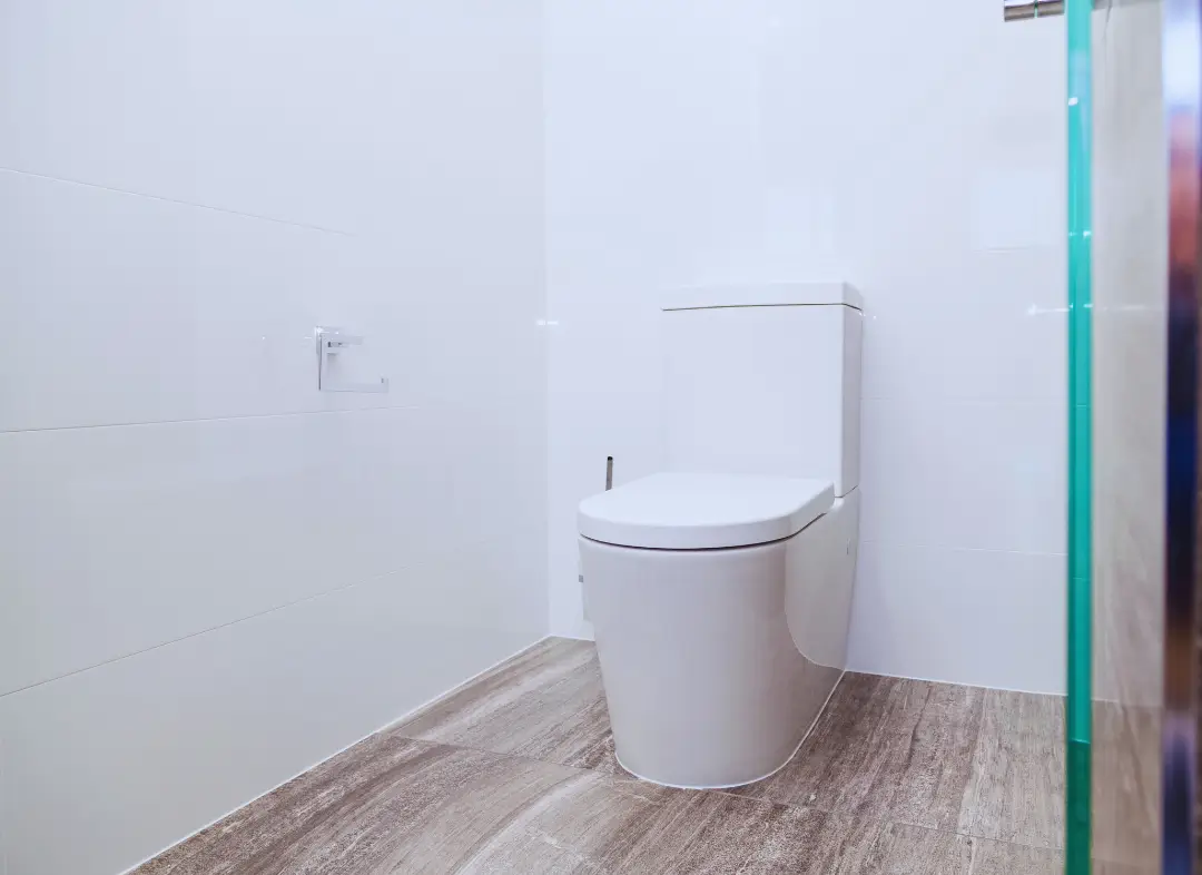 Remplacement de wc Savonnières