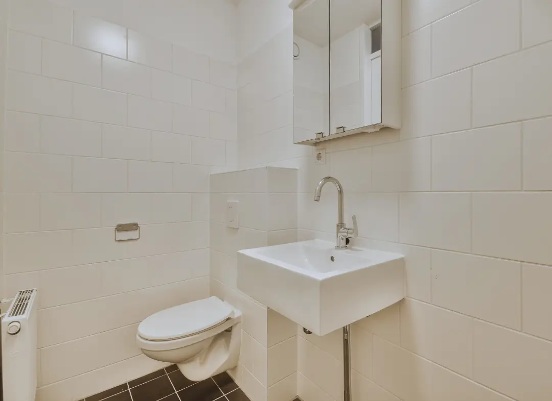 Pose WC Suspendu Savonnières